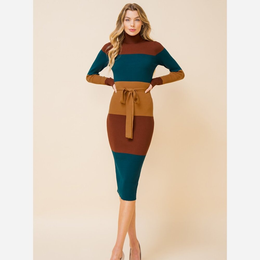 Elegant Color Block Midi Dress - Picture 4 of 9